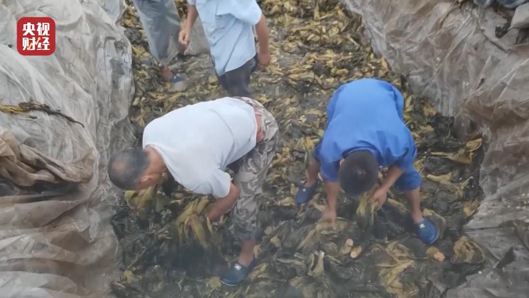 看完“315晚会”，我晒干了沉默……