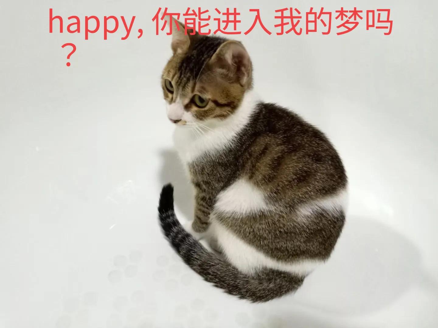 happy鎴戠殑濂冲鎻掓洸,浣爃appy鎴戜篃happy