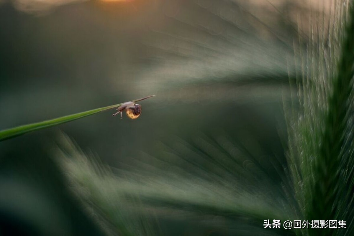 秋天最美大自然图片,春天最美的三十六张照片