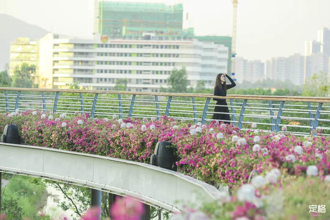 雨林打卡网红地滑梯,深圳哪里有超大型滑梯