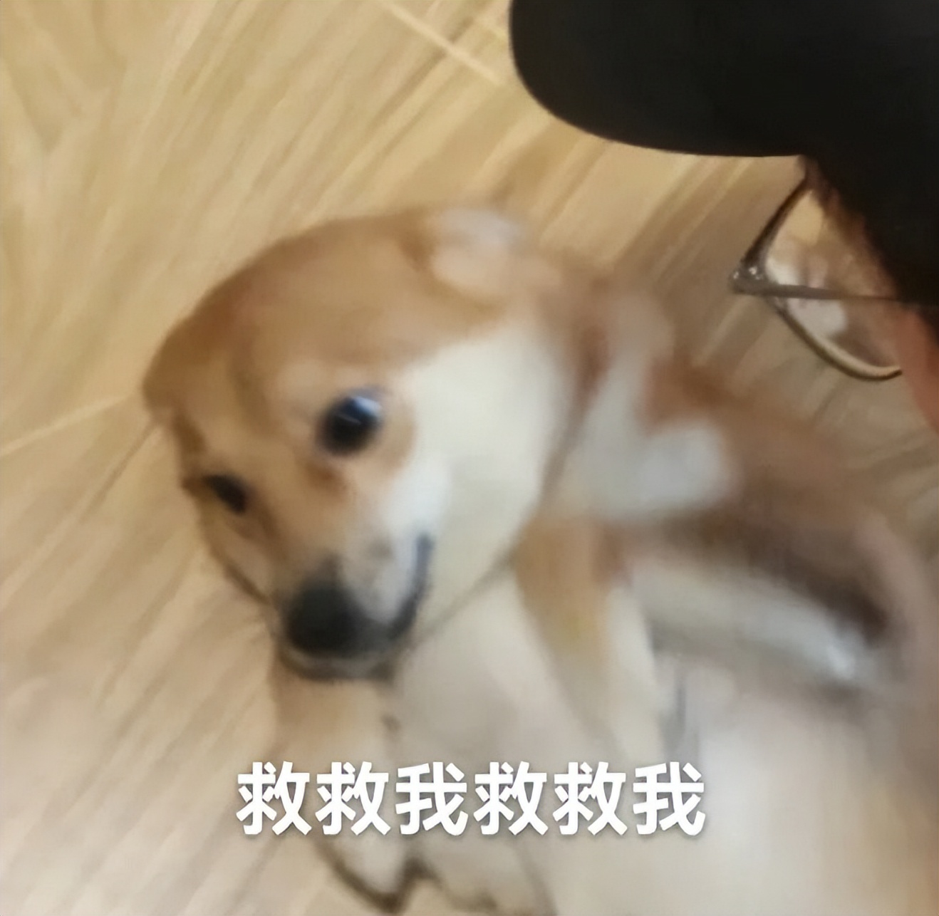 体检发现有息肉，离癌症还有多远？我彻底方了...