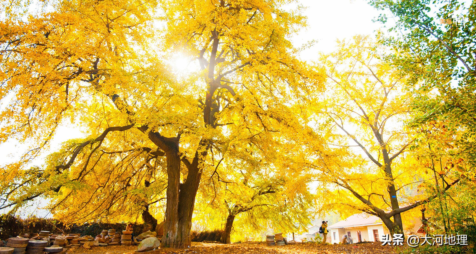 旅游攻略国内十大必去景点南方,中国南方著名景点