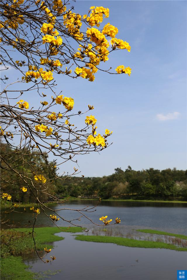 广州风景好又安静的地方推荐,广州最幽静的景点