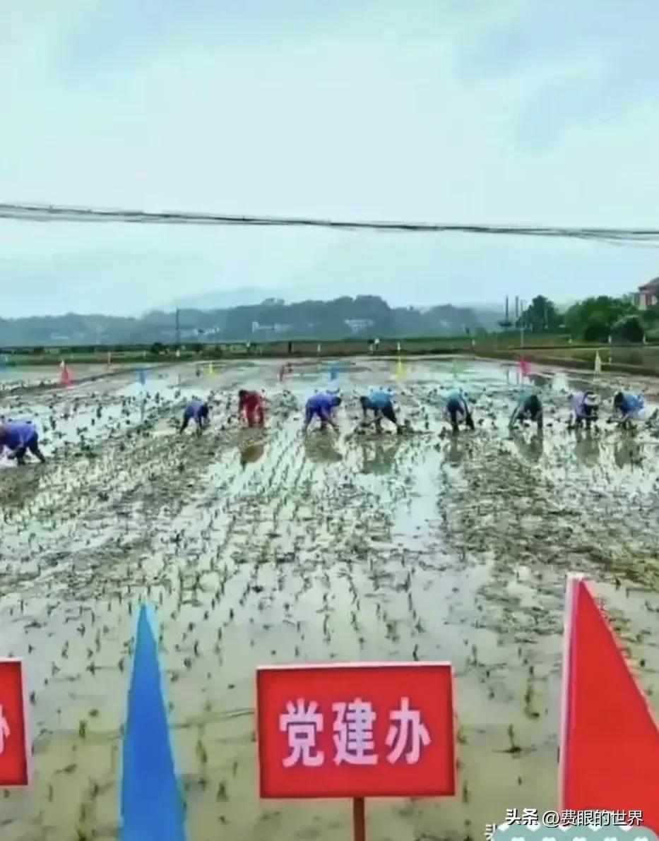 花49万农村做了场秀，我们的公职人员就是这样“亲民”的