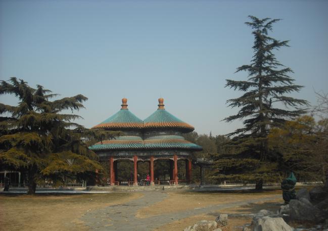 日军日记：男人饿倒在地，为了救他，我将他妻子的乳房割给他吃!