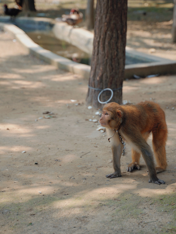 营口温泉之乡,辽宁省营口温泉排名