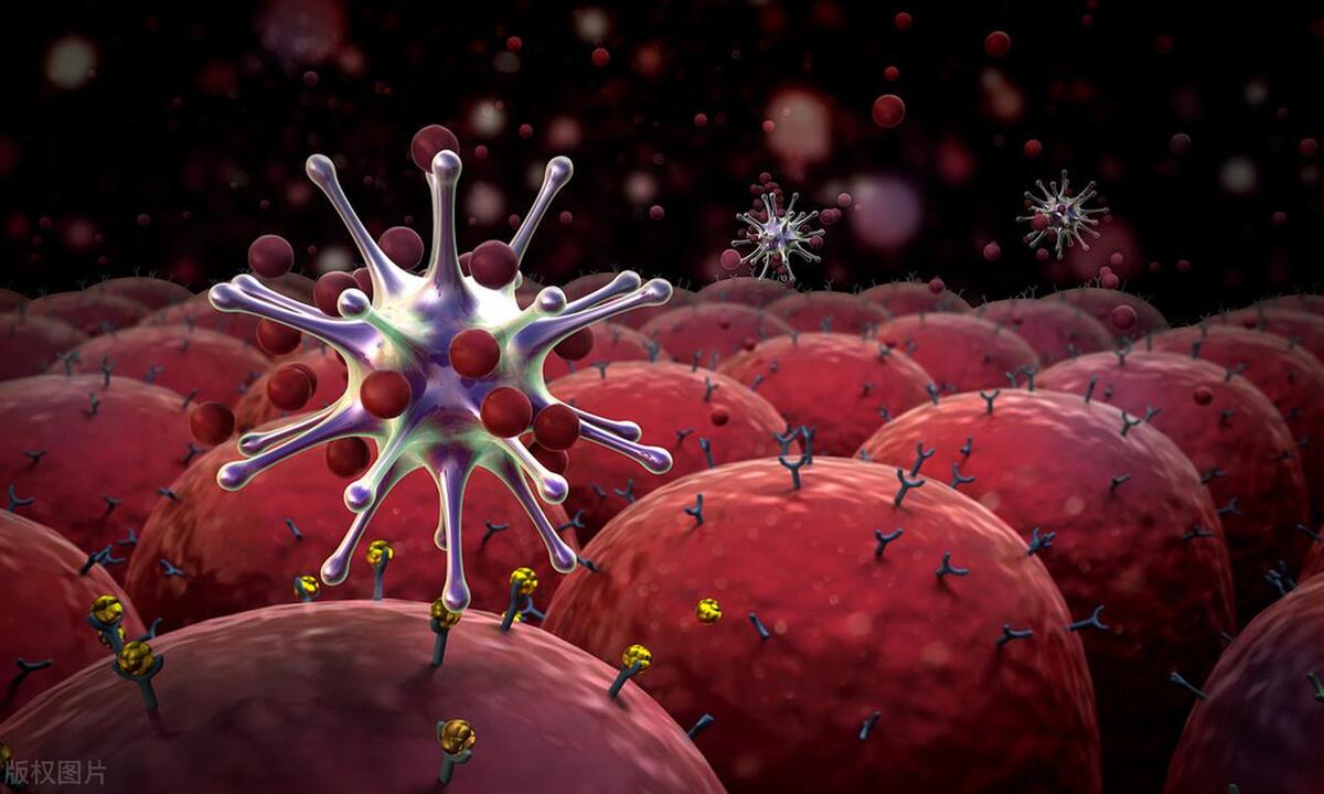 孕妇有阴道炎症状不治疗会怎么样,为什么孕妇容易得外阴炎