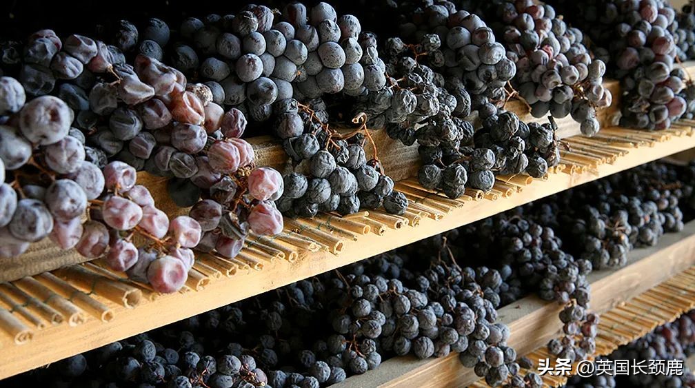 每次买葡萄酒满头问号瞎买？红白葡萄酒大科普：英国好酒推荐