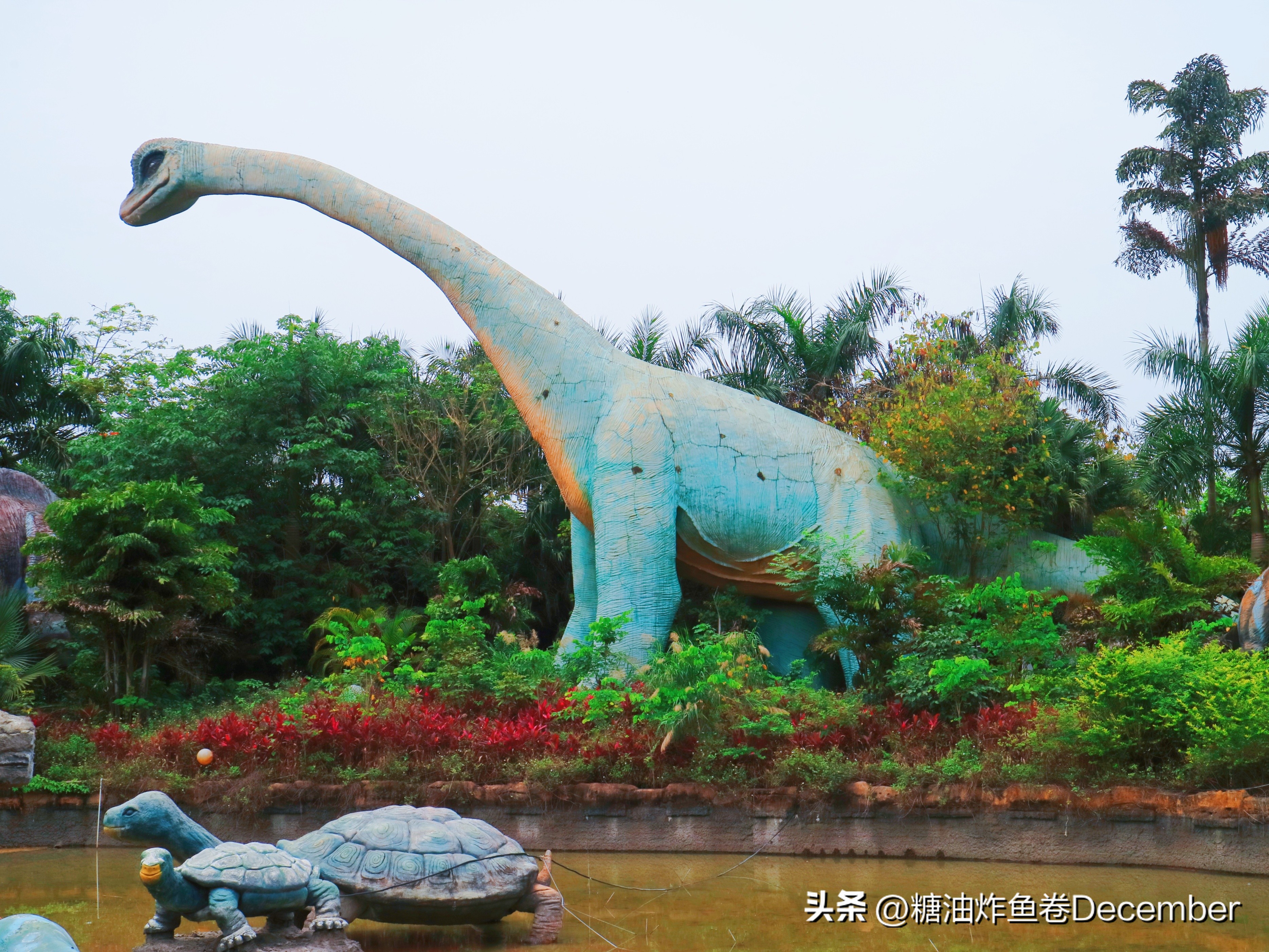 扶绥龙谷湾恐龙公园游玩攻略,扶绥龙谷湾恐龙公园在哪里