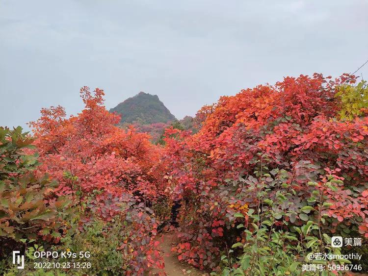 钗头凤江南冬日暖,钗头凤沐春风