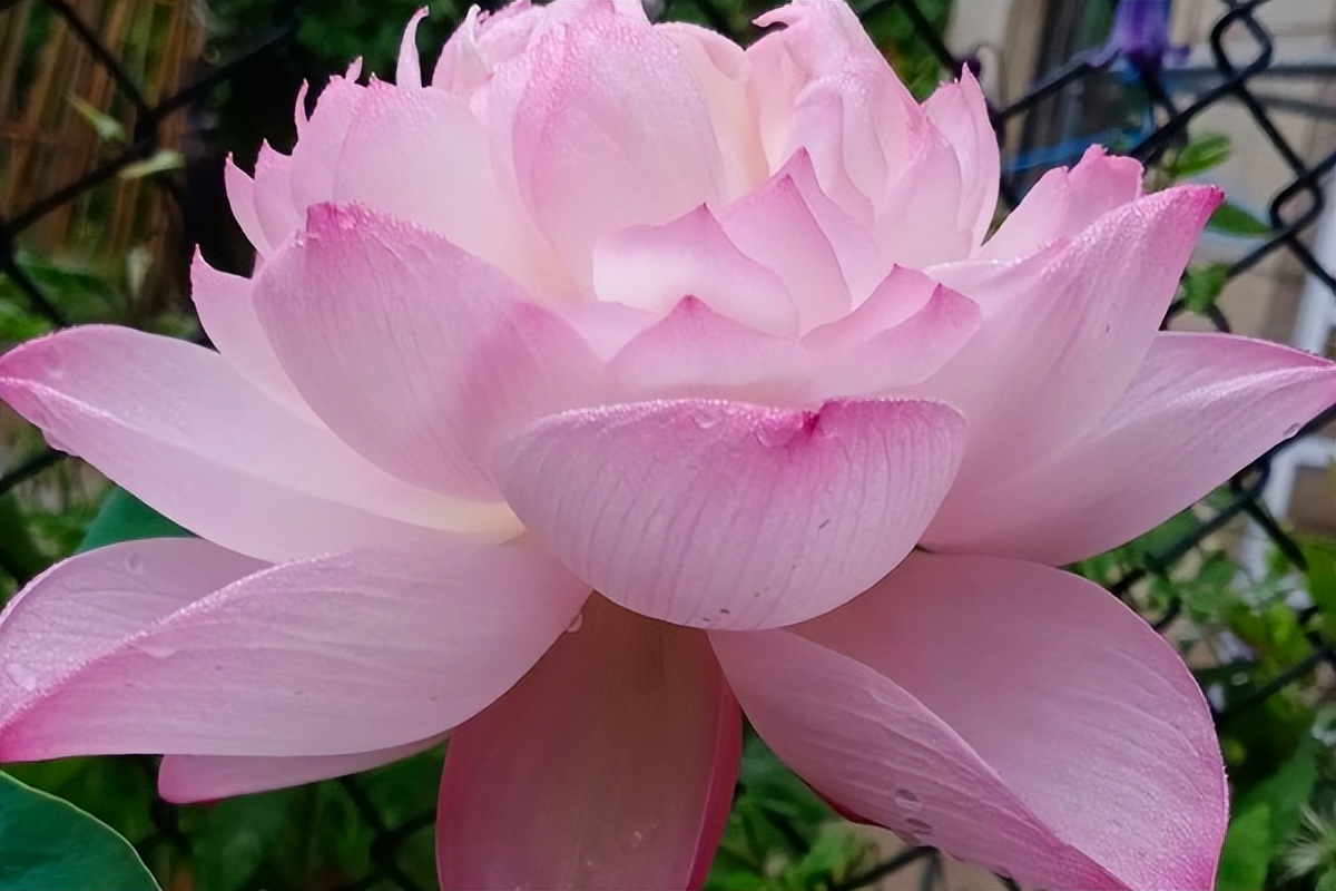 情侣之间分手正确处理方式,假分手怎么挽回