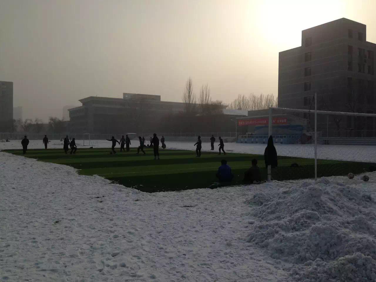 为什么学校用人造草坪