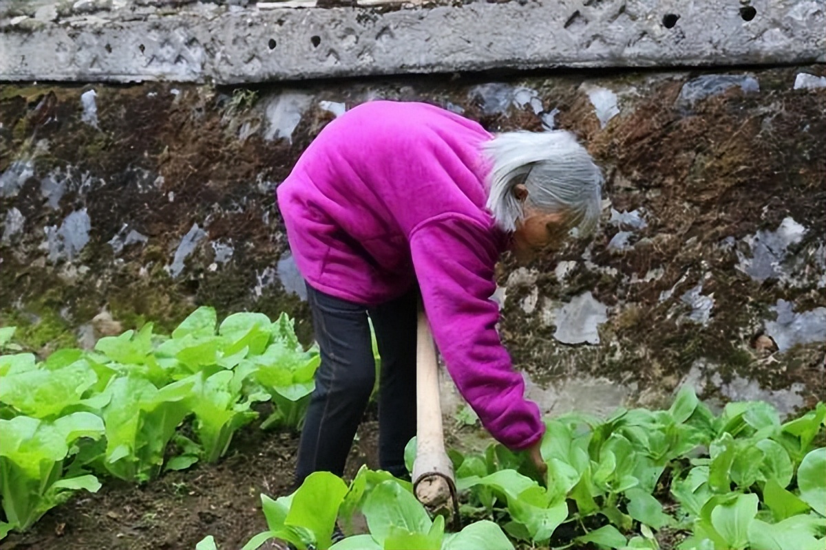 江西一小伙和81岁的老太拍婚纱,江西25岁小伙跟老妈拍婚纱照