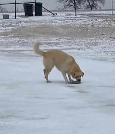 曝光被骗的聊天记录搞笑,曝光聊天记录事件