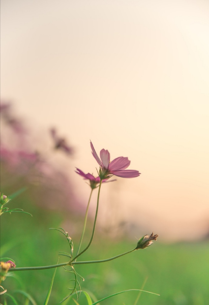 和老公过不下去应该和父母说吗,跟老公过不下去了还要孩子吗