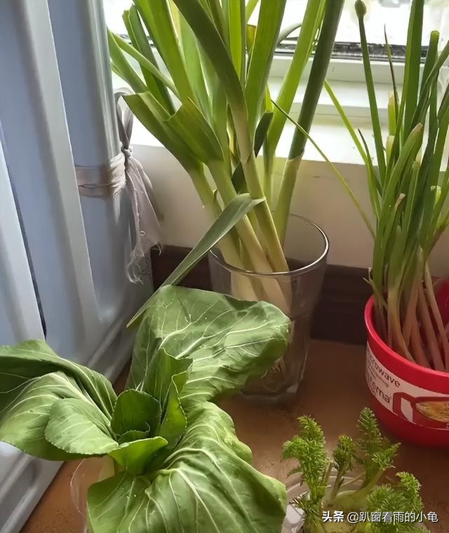 家有余粮，遇事不慌！收好10种生活必要的物资，这3件事也做起来