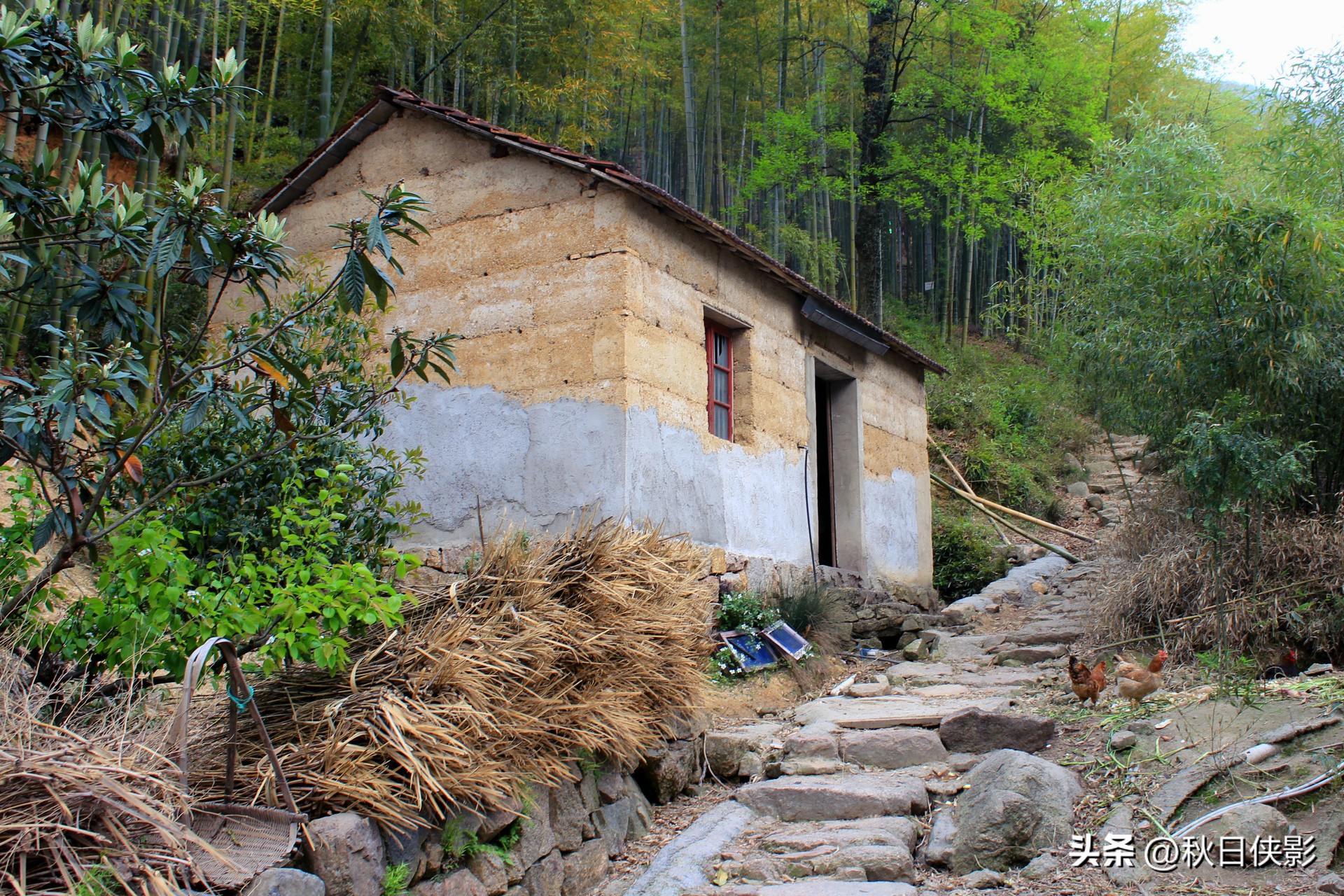 杭州自驾一日游景点推荐春季,这个季节杭州附近的旅游景点推荐