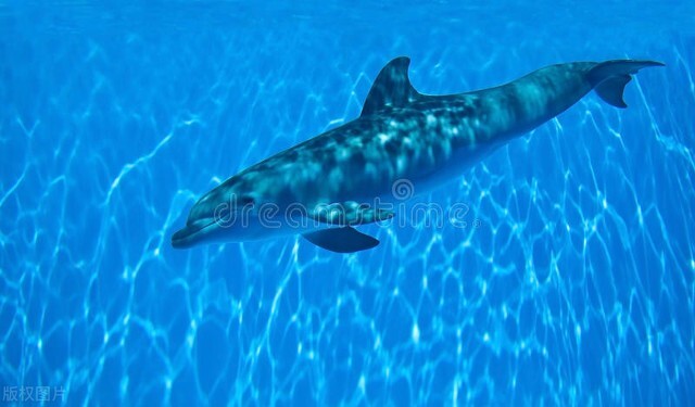 儿童节的意义就是当你长大了,我们90后的儿童节都是怎么过的