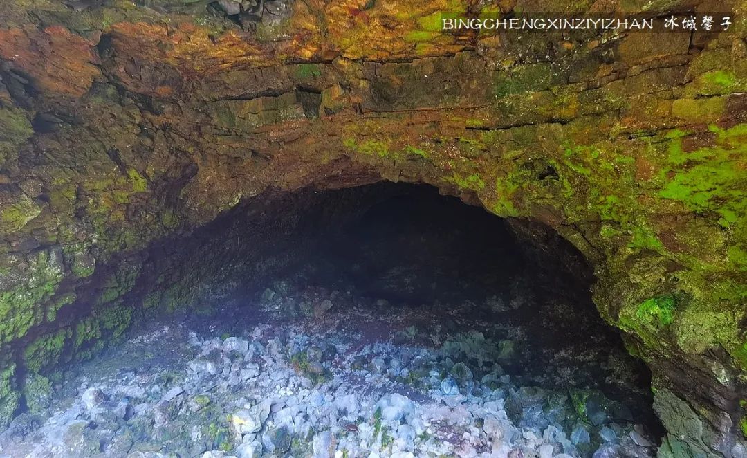 火山口国家森林公园与地下森林,清凉度夏探秘地下森林