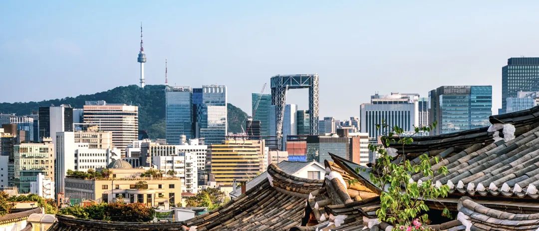 品牌故事|roseplastic（玫瑰塑胶）