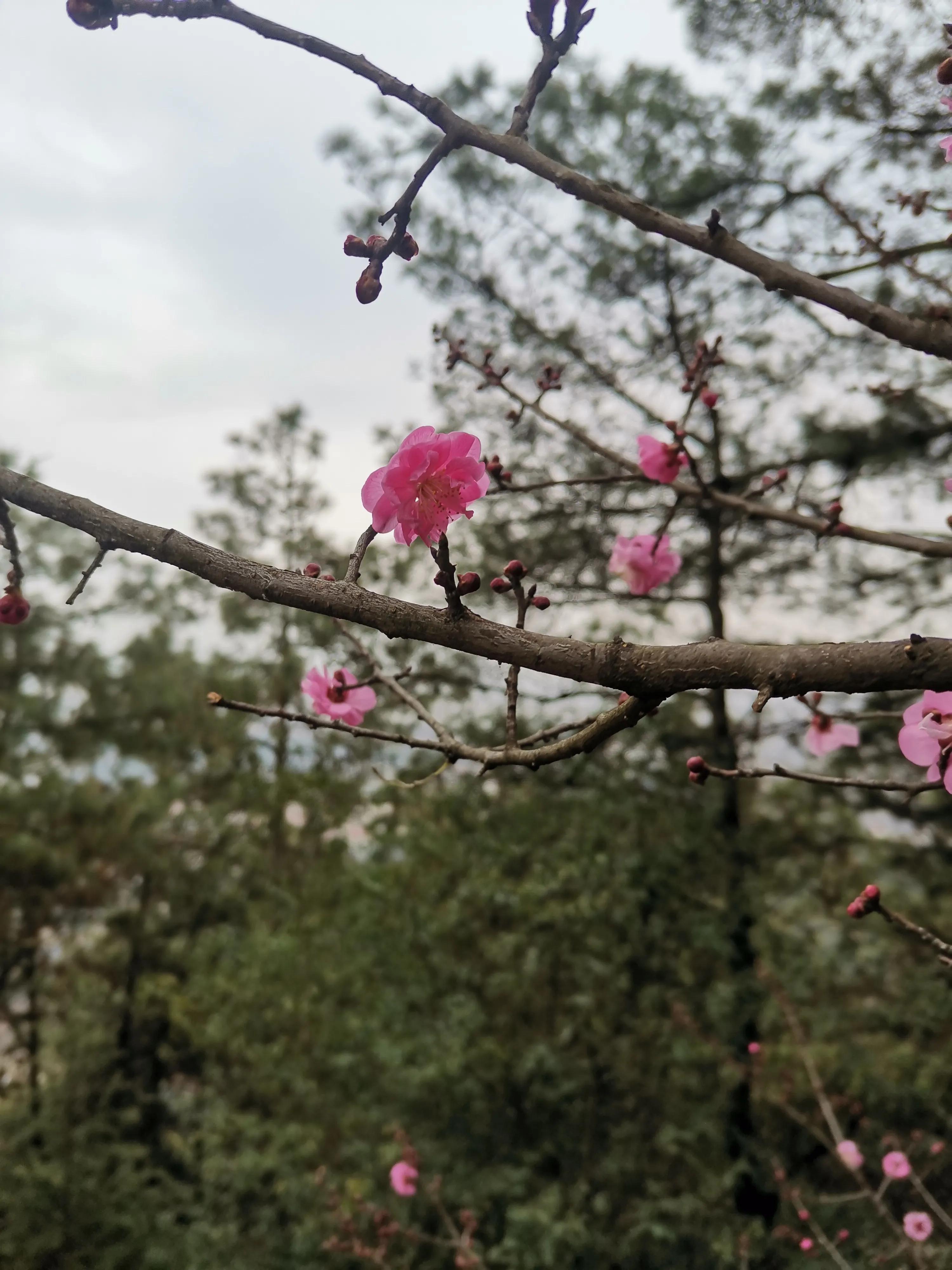 房地产销售还值得做吗,做房地产坚持不下去