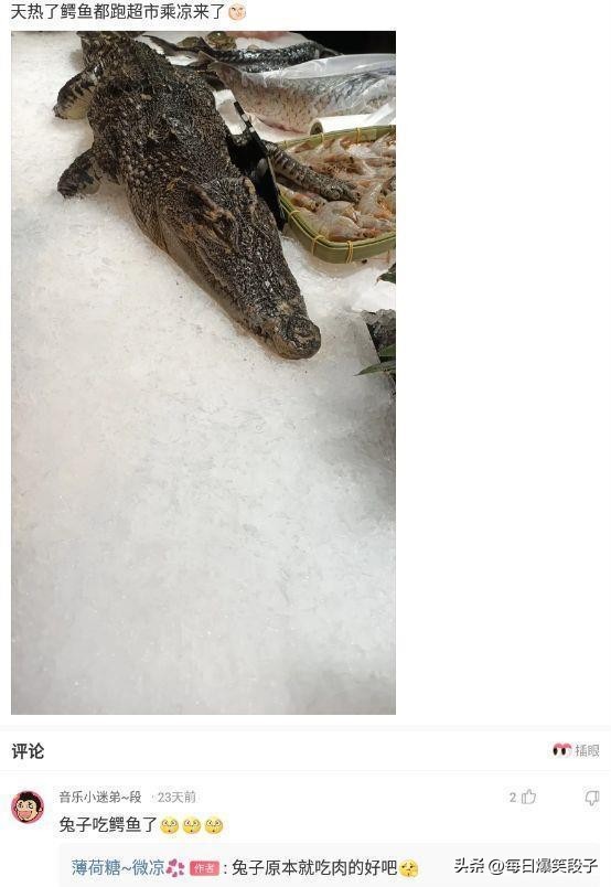 听我说谢谢你搞笑段子,谢谢你来了爆笑段子