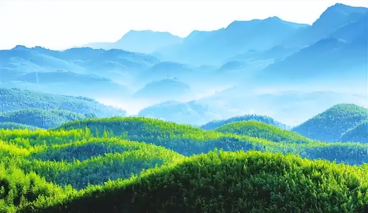 适合旅游的文旅活动,清凉一夏一波戏水亲子活动