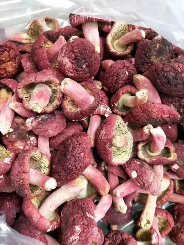 云南红菇好吃吗,云南山野红菇