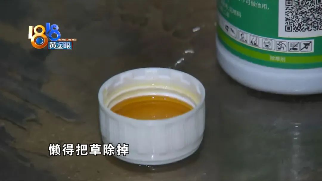 小区里的树被物业喷农药药死,小区里果子成熟了物业打农药