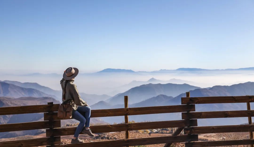 最差的文科专业,文科四大坑人专业