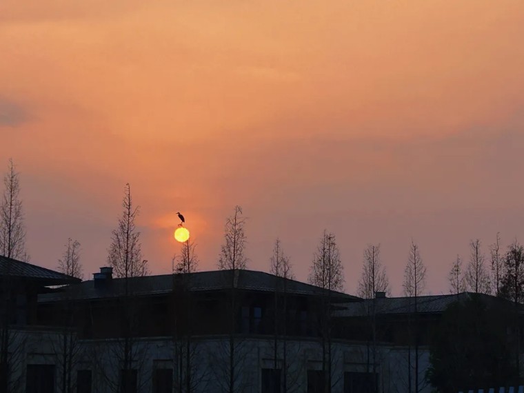 小白速学：用手机拍出风光大片！（影展点评第626期）