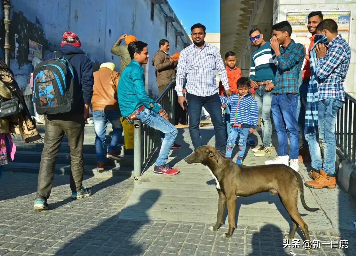 20年后世界最强的五个国家,印度人认为亚洲最强大的国家