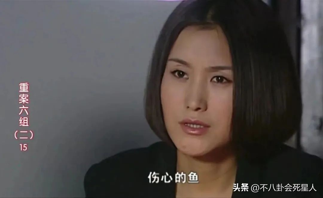 王茜主演的警察电视剧全部,王茜警察