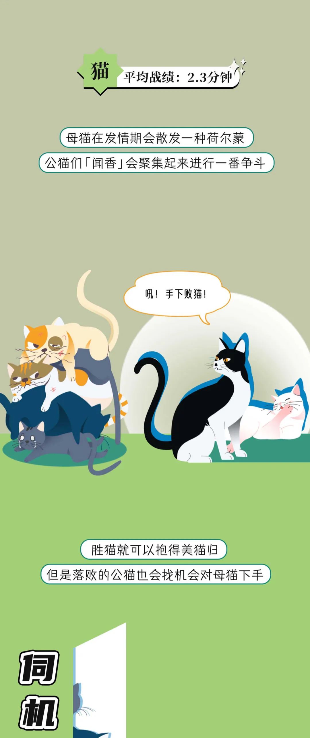 漫画：一组关于动物交配时间统计表曝光！