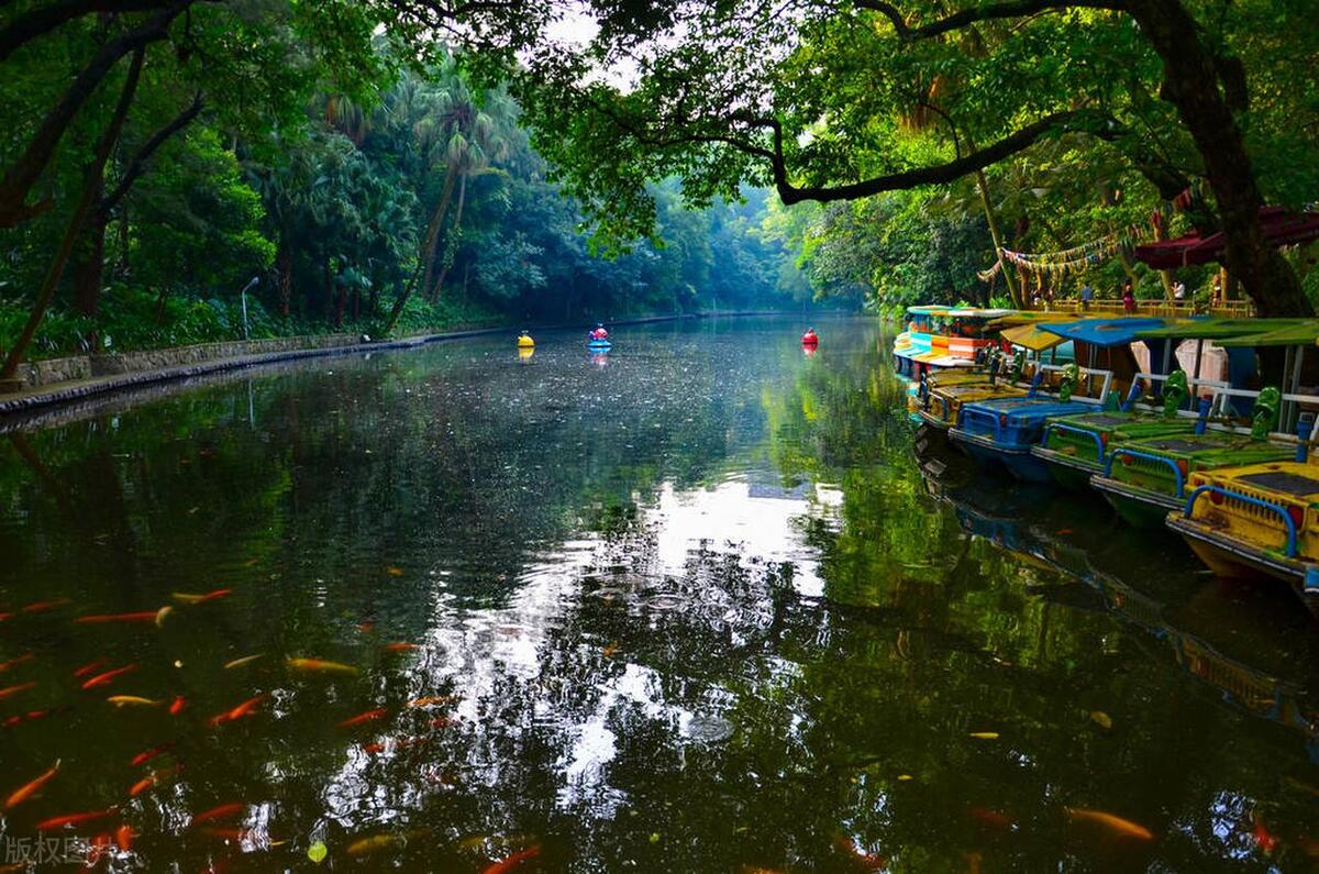 广州最美的公园是哪个公园,广州风景最美的十大公园