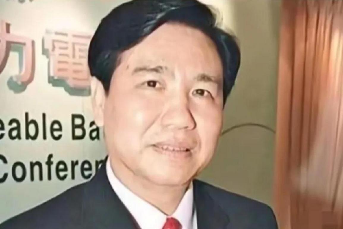 电池大王钟馨稼简历,电池大王钟馨稼