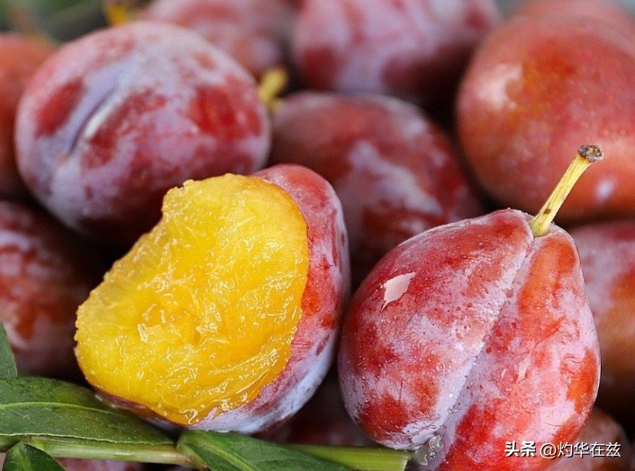 新疆喀什伽师西梅什么时候上市,新疆伽师法兰西西梅干500g