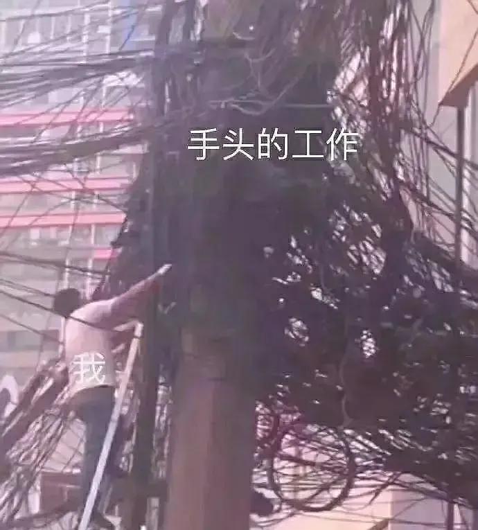 表情包我是自愿上班的,我是自愿上班的表情包原图