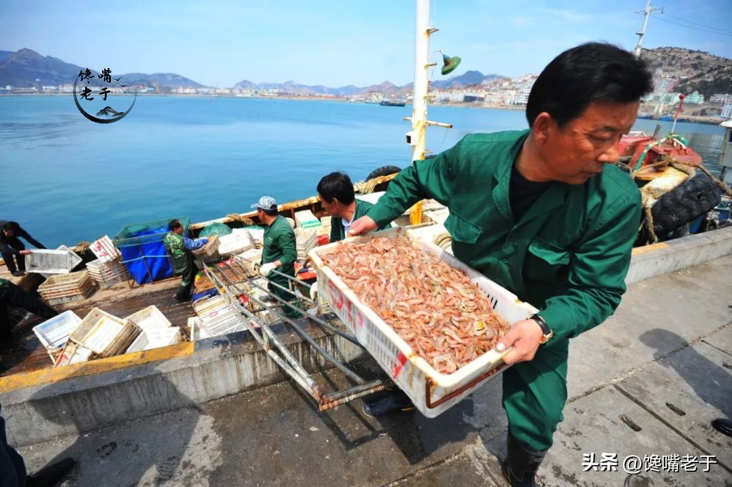 在青岛吃海鲜怎么吃比较划算,外地来青岛吃海鲜去哪里