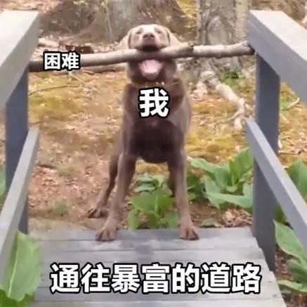 表情包美女拿东西,花钱买表情包的女生