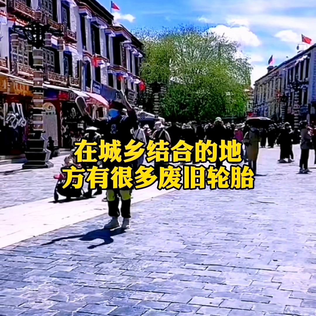 如果你在农村，抓住这十个生意，未来前途无量。