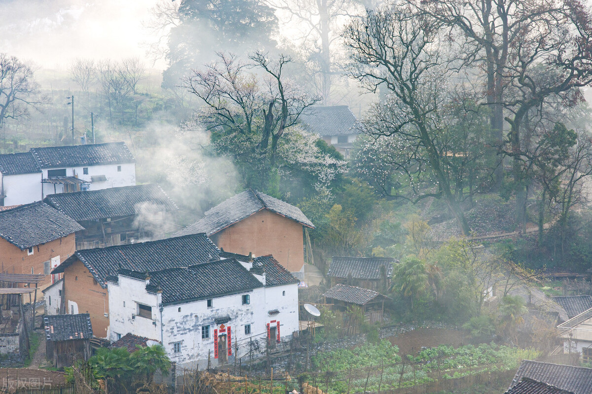 自驾哪里最好玩中国十大自驾游,自驾游5大经典路线自驾游攻略