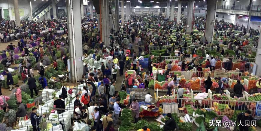 云南昆明市城市介绍,昆明辖区城市有哪些