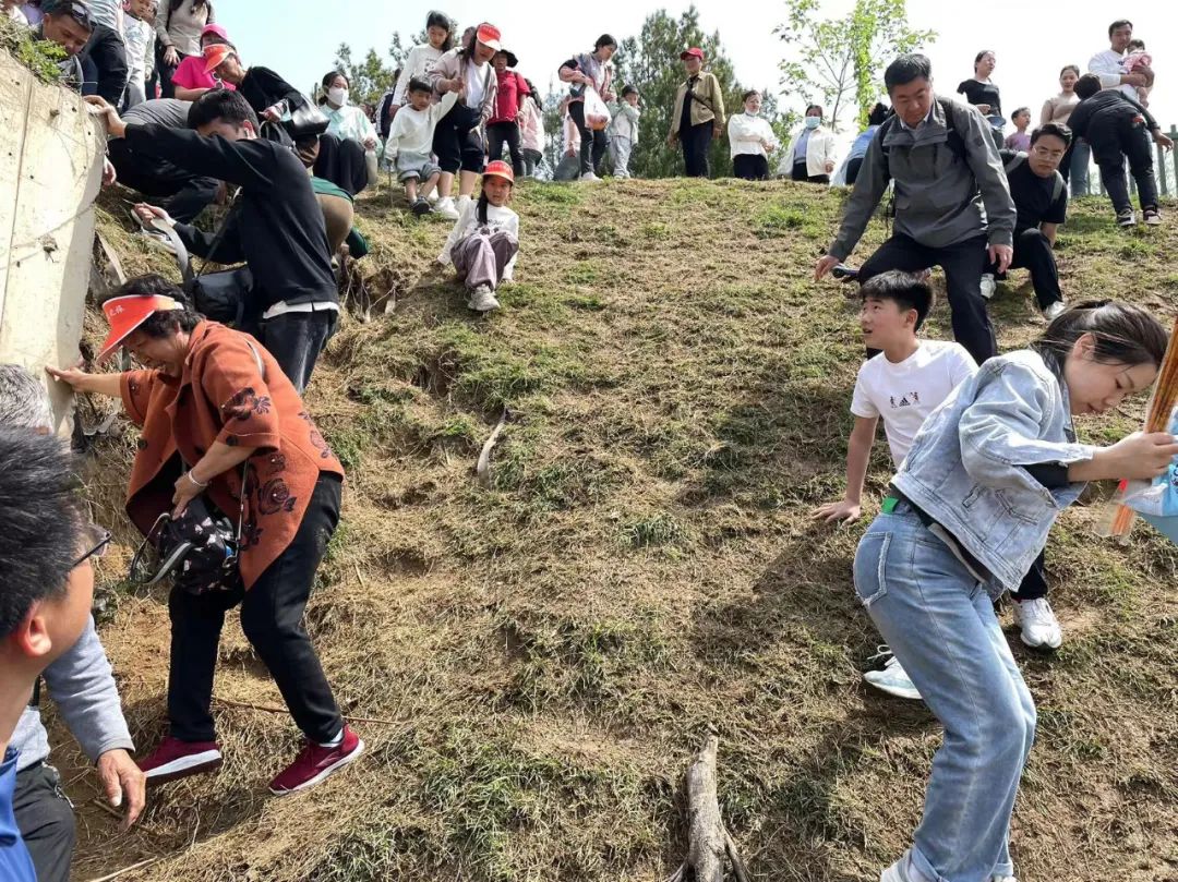 万人爬到白马寺！这样去景区的方式你绝对没见过！