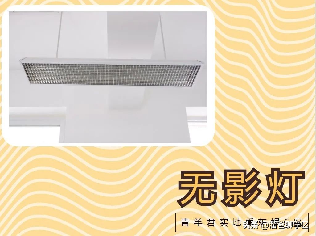 一校三区→一校五区？从不设分校的“金花学校”要爆发？