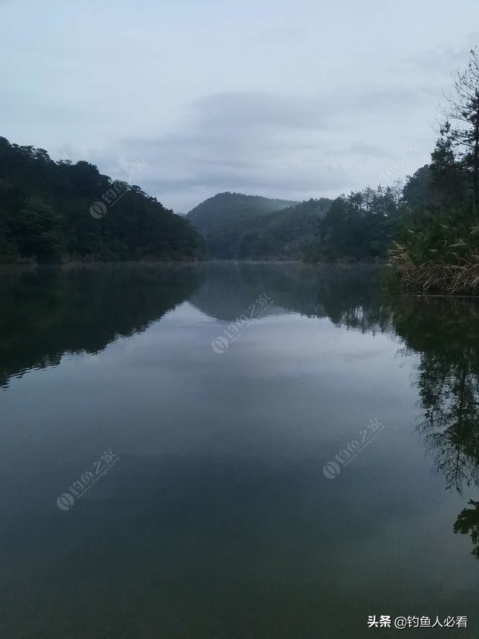 趁休假再来水库，终获大鱼一枚