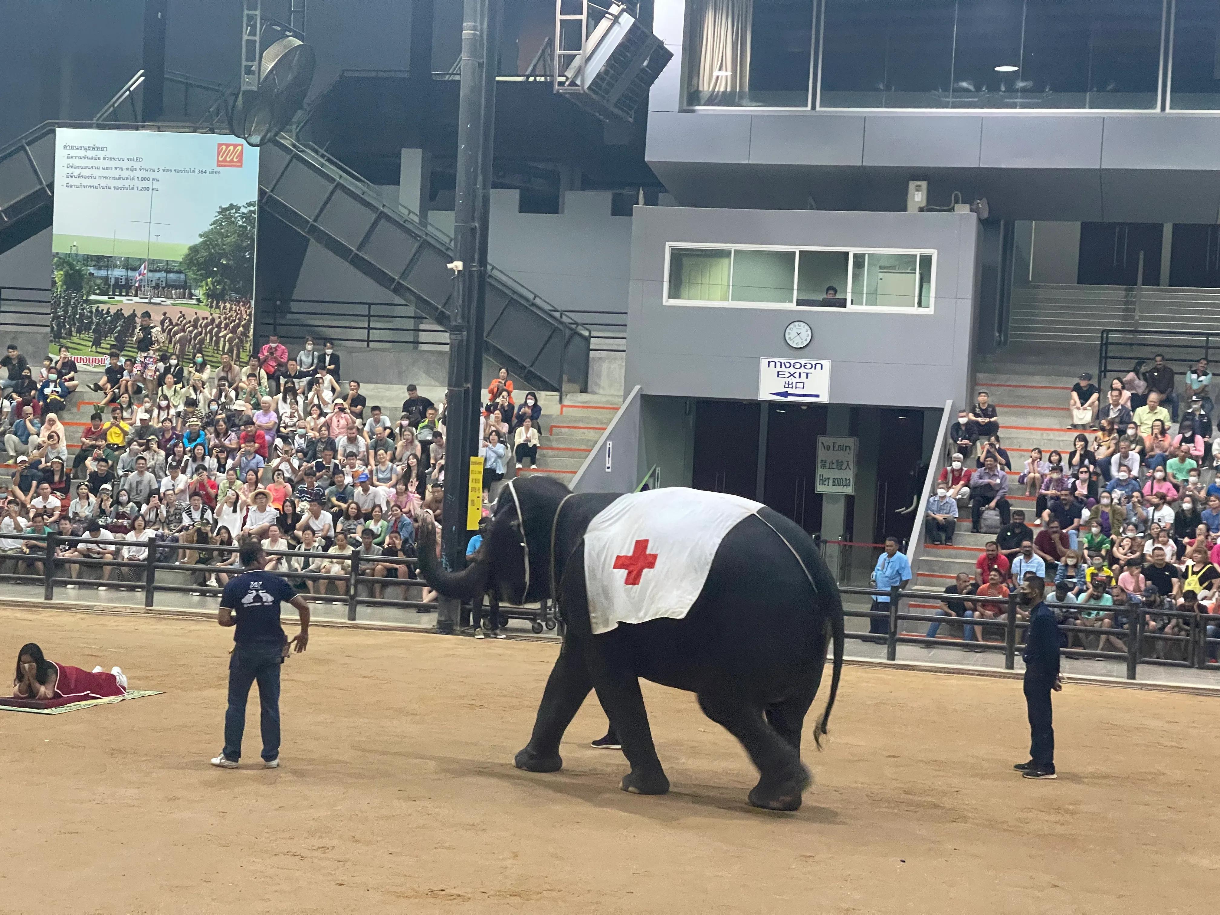 泰国旅游必玩地方有哪些,泰国东芭乐园旅游攻略