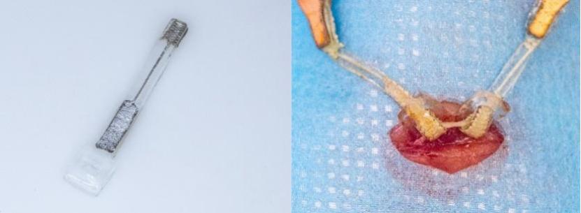 西湖大学微纳米3d打印系统,西湖大学水凝胶3d打印