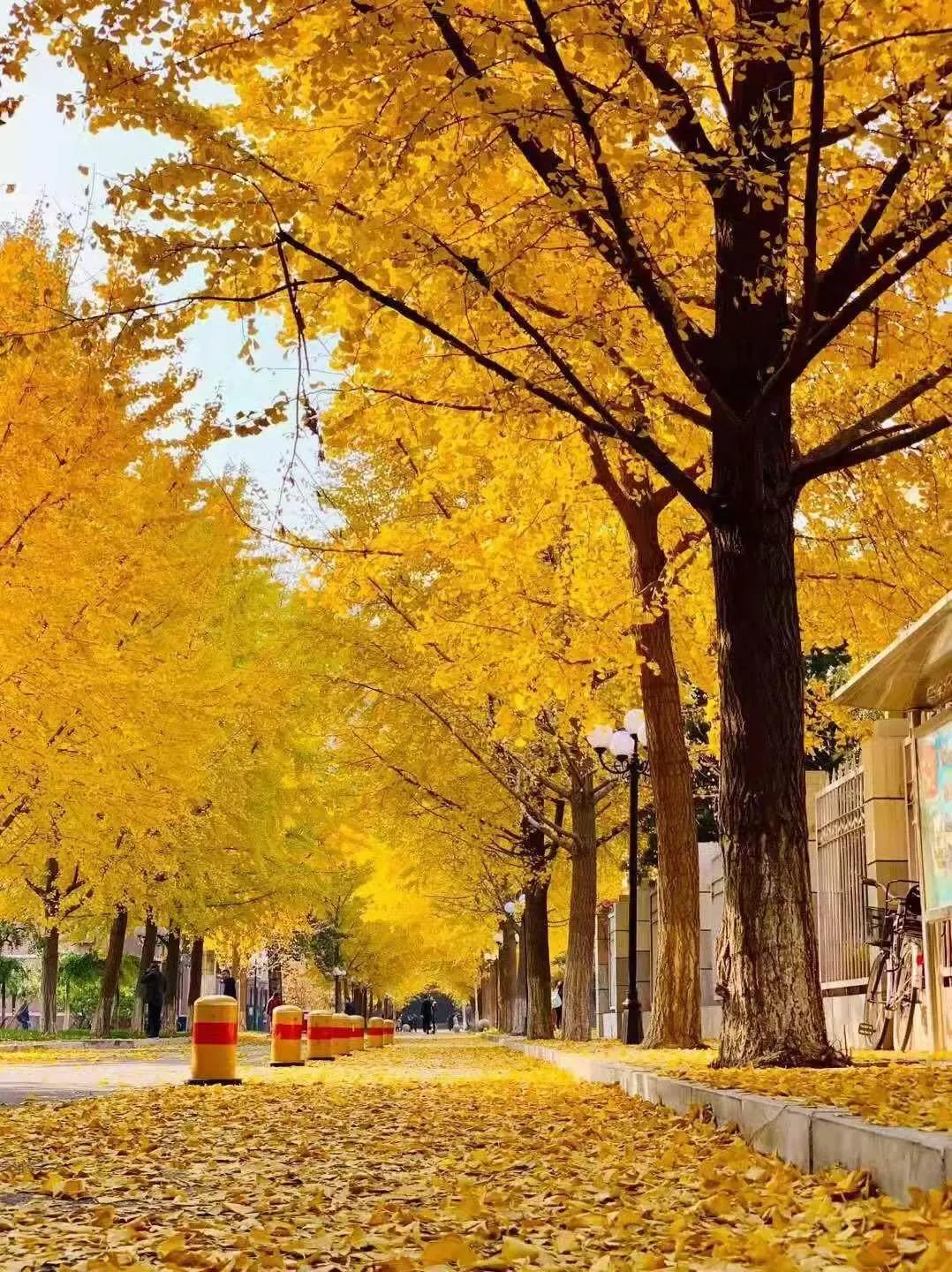 sothat和suchthat的用法区别,sothat和suchthat的用法和区别