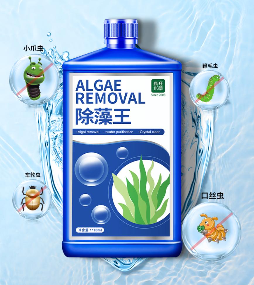 鱼缸在太阳下晒几天会爆藻,鱼缸爆绿藻去哪里买藻种